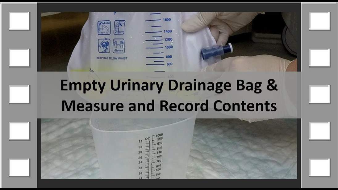 Empty Urinary Drainage Bag 