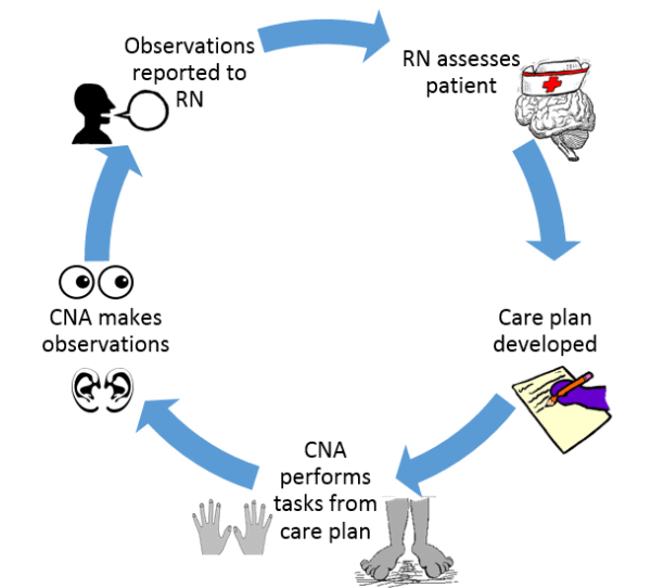 care plan process